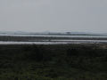 G-1-DSC_4264-Jurmo_950-pixels