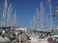 B-1-DSC_4212_Sjöbjörnarnas-Hösommarträff-2018-Kärdla_950-pixels