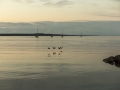 1000_6_Fårösund_IMG_0094