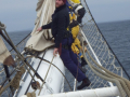 31-Inre-klyvaren-beslås-på-peket_950-pixels